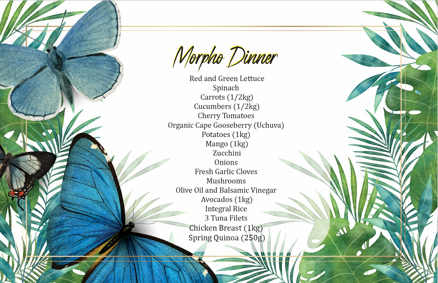Morpho Dinner