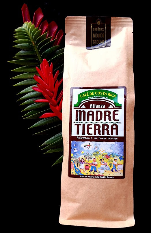Ground Local Coffee
