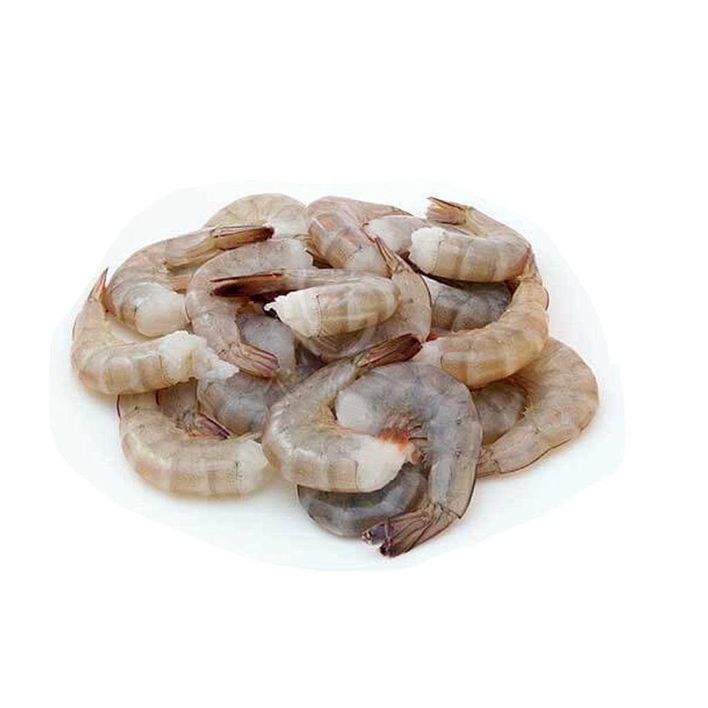 Shrimp